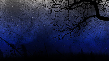 Starry Night HD wallpaper