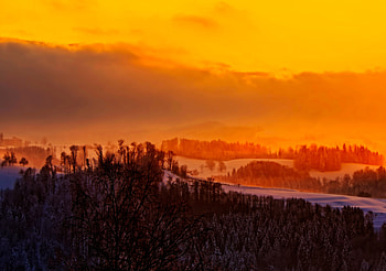 Winter, Nature, Trees, Sunset, Sky HD wallpaper