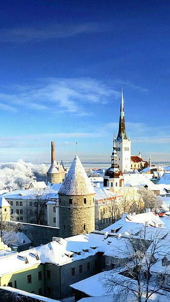 Tallinn Estonia, Colorful travel, Paris Android HD phone wallpaper
