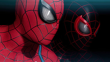 Red and black suit, Dark Spider-Man HD wallpaper