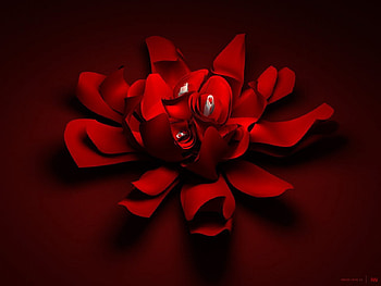~Red Petals~, nature, petals, red, flower HD wallpaper