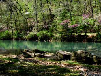 Spring park, parks, nature HD wallpaper