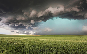 storm clouds over beautiful fields, clouds, fields, green, storm HD wallpaper