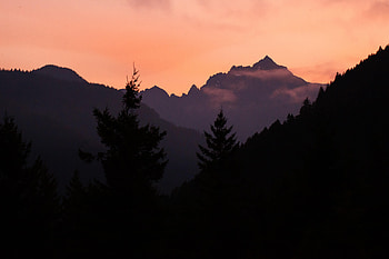 Nature, Trees, Mountains, Silhouette, Fir, Spruce, Dahl, Distance HD wallpaper