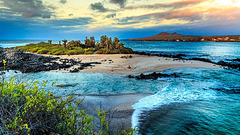 Galpagos Islands , Exotic wildlife, Pristine landscapes HD wallpaper