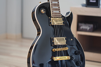 Music, Guitar, Musical Instrument, Vulture, Strings HD wallpaper
