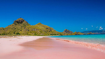 Pink Beach of Komodo Island, Indonesia, blue, sea, sand, asia, sky, rocks HD wallpaper