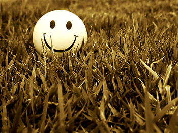 Grass, Background, Art HD wallpaper