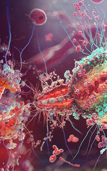 Microbiology, Bacterial cultures, Cell division, Laboratory equipment HD phone wallpaper
