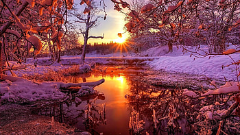 Sunset in Winter, river, snow, trees, sun, water, reflections HD wallpaper