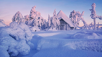 Winter in Finish Lapland, house, snow, scandinavia, trees, landscape, sky HD wallpaper