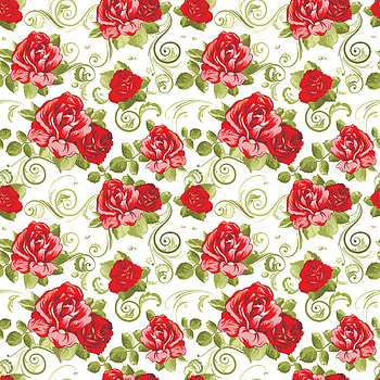Flowers, Background, Roses, , Patterns HD phone wallpaper