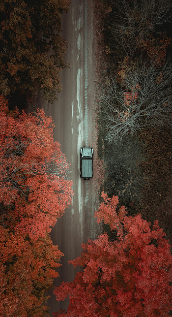 Trees, View From Above, Miscellanea, Miscellaneous, Road, Car HD phone wallpaper