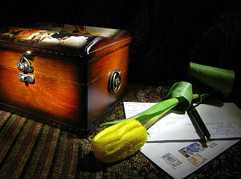 Flowers, Drops, Flower, Freshness, Tulip, Letter, Casket HD wallpaper