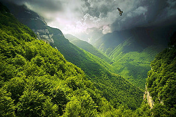 Flight, hills, eagle, grey, green, bushes, clouds, trees HD wallpaper