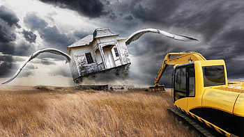 Fly up!, abstract, fantasy, cool, funny, amazing HD wallpaper