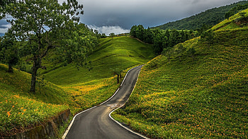 Country road, Nature's embrace, Tranquil beauty, Calm and serene HD wallpaper