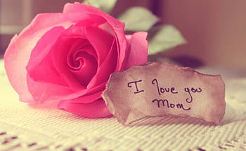 I LOVE YOU FOR MY MOM, glamour, gentle, delight, colors, delightfully, charm, beach, fascination, blue sky, extraordinary, , bright, happy, elegance, feel, female, dom, clear , brunette, gorgeous, hot, eyes, girl, fashion model, emotions, gentility, breeze, face, best, challenging, hair, harmony, blue, colorful, emotion, curly hair, attractive, feel the breeze, cute, femininity, grace, long hair, beauty, lady, delicate, gentleness, amazing, lips, happiness, beautiful woman, entertainment, harmonious, hands, beautiful, fresh, charming, elegant, eyes closed, cool, joy, excited HD wallpaper