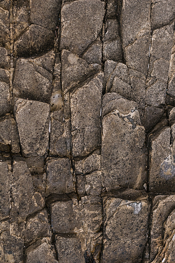 Rock, Texture, Textures, Surface, Grey, Stone HD phone wallpaper