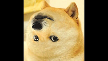 maxresdefault jpgDoge Gif Original HD wallpaper