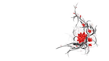 White Abstract HD wallpaper
