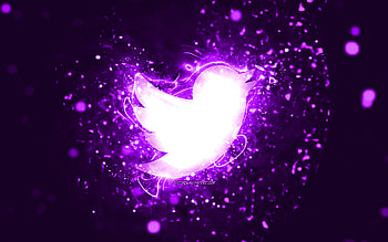 Twitter violet logo, , violet neon lights, creative, violet abstract background, Twitter logo, social network, Twitter HD wallpaper