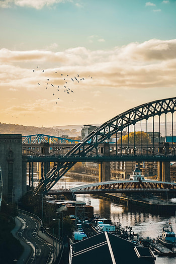 Cities, Birds, Architecture, Clouds, City, Bridge HD phone wallpaper