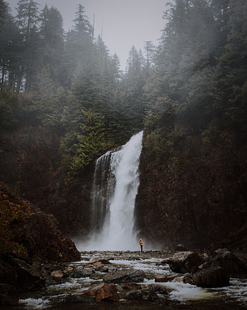 Landscape, Nature, Rivers, Trees, Waterfall, Break, Precipice HD phone wallpaper