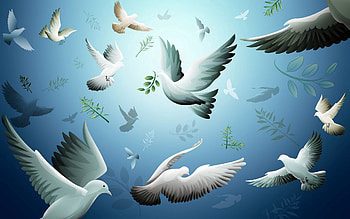 Pigeons, Bird, Texture, Textures, , Drawing, Flight HD wallpaper