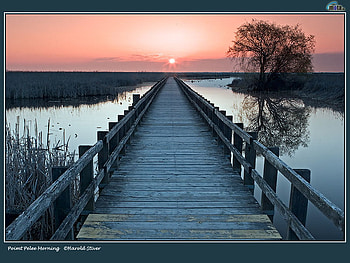The Old Pier, river, pink, pier, sky, dusk HD wallpaper