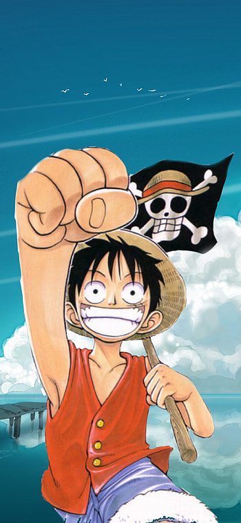 One piece, boy, anime HD phone wallpaper