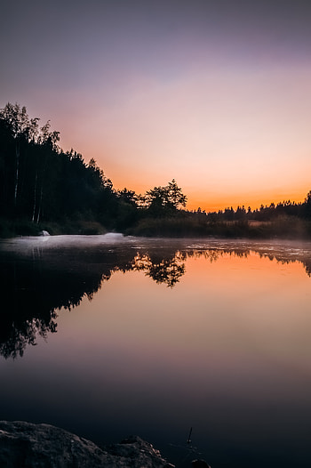 Nature, Trees, Twilight, Lake, Reflection, Dusk HD phone wallpaper