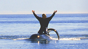 Willy 2: The Adventure Home, Willy HD wallpaper