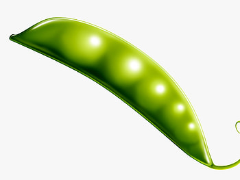 Mutton Swift, vegetable cg HD wallpaper