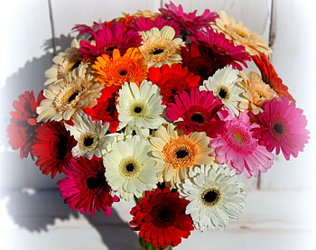 *Bouquet of colorful gerbera flowers*, colorful, bouquet, flowers, gerbera HD wallpaper