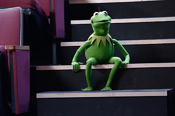 Kermit the Frog, Matt Vogel, Muppets new voice, Fortune HD wallpaper