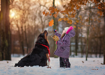 One more, winter, dog, animal, black, cute, copil, big, autumn, white, girl, orange, andy seliverstoff, little, pink, funny, leaf, child HD wallpaper