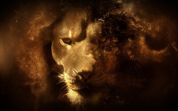 Aslan, animal, fantasy, art, yellow, luminos, lion, narnia HD wallpaper