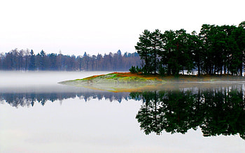 Landscape, Nature, Trees, Lake, Fog, Morning, Island, Islet HD wallpaper