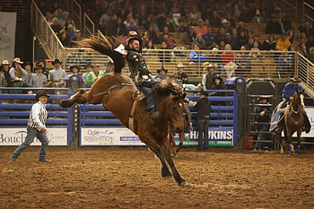 Silver Spurs Rodeo, Rodeo HD wallpaper