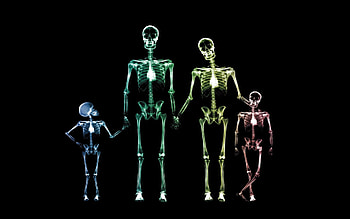Funny, Background, Skeletons HD wallpaper