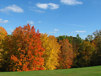 Autumn on the Hill, color, fall, trees, autumn, sky, hillside, nature, grass HD wallpaper