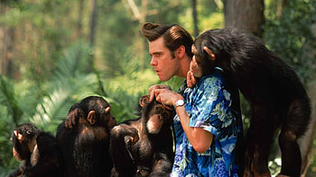 Jim Carrey, Ace Ventura, Nature calls, Cinematic masterpiece HD wallpaper