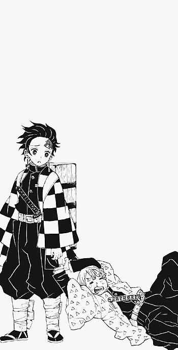 Demon slayer, manga, anime HD phone wallpaper