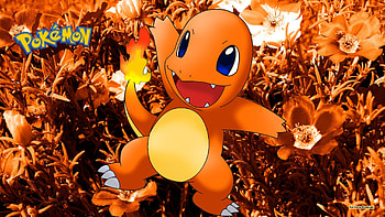 Charmander pokemon HD wallpaper