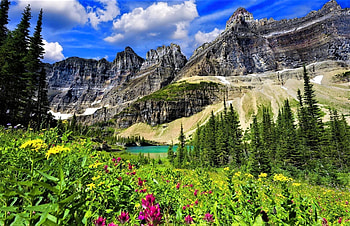 mountain lake, trees, flowers, mountains, lake HD wallpaper