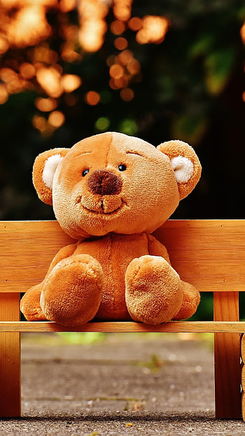 Teddy Bear Ka, Sitting On Bench, Brown Teddy Bear HD phone wallpaper