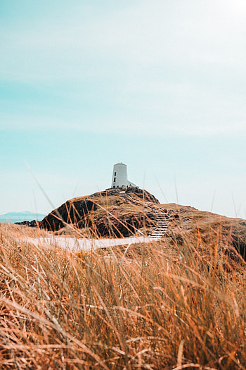 Nature, Grass, Coast, Lighthouse, Hill HD phone wallpaper