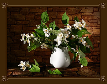 still life, white, graphy, vase, beautiful, nice, stones, jug, leaves, brown, flower, cool, , flower bouquet HD wallpaper