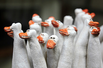 White ducks, bird, sculpture HD wallpaper